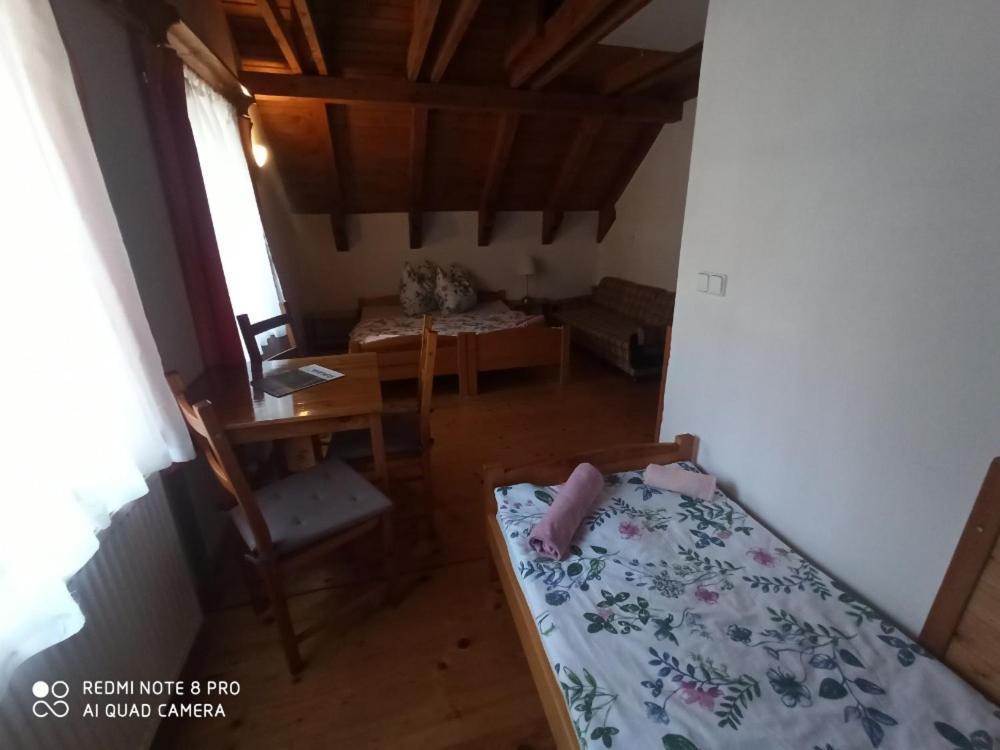 Penzion Avalanche Železná Ruda エクステリア 写真