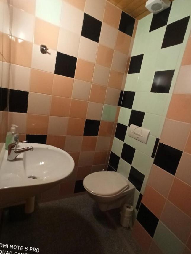 Penzion Avalanche Železná Ruda エクステリア 写真